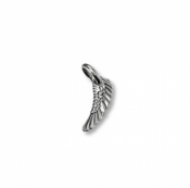 Little Angel Wing